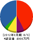 松井建設 貸借対照表 2012年8月期