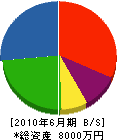 昭和木工所 貸借対照表 2010年6月期