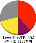 田村設備工業 損益計算書 2009年10月期