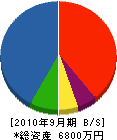 孝橋建設 貸借対照表 2010年9月期