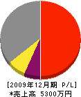 横野組 損益計算書 2009年12月期