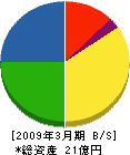 新潟フジカラー 貸借対照表 2009年3月期