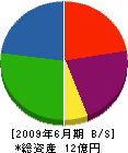 福岡 貸借対照表 2009年6月期