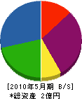 平川音響 貸借対照表 2010年5月期