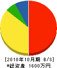 須﨑造園 貸借対照表 2010年10月期