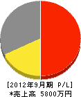 朝日電気工事 損益計算書 2012年9月期