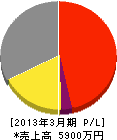 武田電設 損益計算書 2013年3月期