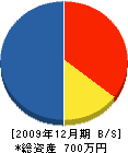 西川電気商会 貸借対照表 2009年12月期