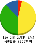 嵯峨土木 貸借対照表 2012年12月期