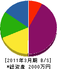 川村ガス工事店 貸借対照表 2011年3月期