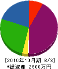 仙禄総業 貸借対照表 2010年10月期