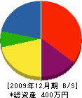 園田建設 貸借対照表 2009年12月期