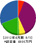 鈴木電器 貸借対照表 2012年4月期