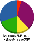 片桐造園 貸借対照表 2010年5月期