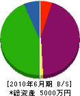 島田工務店 貸借対照表 2010年6月期