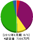 岡田土木工業 貸借対照表 2012年6月期