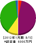 大野ポンプ店 貸借対照表 2012年1月期