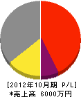丸橋電気 損益計算書 2012年10月期