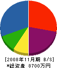 三協設備工業 貸借対照表 2008年11月期