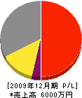 横井組 損益計算書 2009年12月期