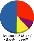 日新工営 貸借対照表 2009年11月期