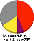 二葉工務店 損益計算書 2010年8月期