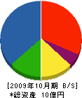 寺泊産業 貸借対照表 2009年10月期