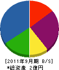 松田電機店 貸借対照表 2011年9月期
