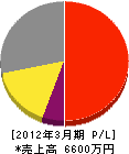 松江塗装 損益計算書 2012年3月期