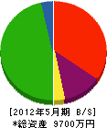 尾崎土木 貸借対照表 2012年5月期