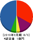 田中建築 貸借対照表 2010年9月期