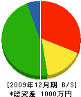 武内畳店 貸借対照表 2009年12月期