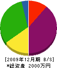 松山商会 貸借対照表 2009年12月期