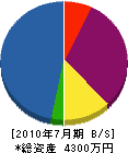 榊原組 貸借対照表 2010年7月期