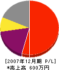横山塗装 損益計算書 2007年12月期
