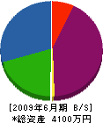 青柳電機 貸借対照表 2009年6月期