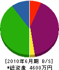 尾村美建 貸借対照表 2010年6月期