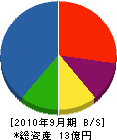 山崎塗装店 貸借対照表 2010年9月期