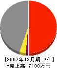 小瀬澤商店 損益計算書 2007年12月期