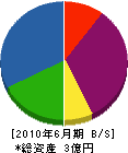 栄伸工業 貸借対照表 2010年6月期