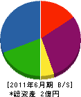 斎藤商事 貸借対照表 2011年6月期