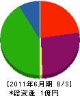 朝鉄工業 貸借対照表 2011年6月期