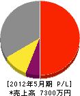 松村塗装店 損益計算書 2012年5月期