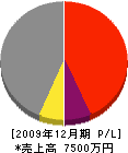 小沢工務店 損益計算書 2009年12月期