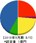 丸山電業 貸借対照表 2010年9月期