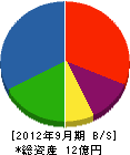 藤田建設 貸借対照表 2012年9月期