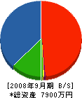 浜田建設 貸借対照表 2008年9月期