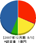 城南綜建 貸借対照表 2007年12月期