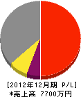 手塚工務店 損益計算書 2012年12月期