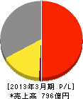 日本電子 損益計算書 2013年3月期